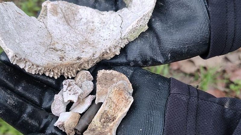 Restos calcinados en Ahualulco de Mercado (4).jpeg